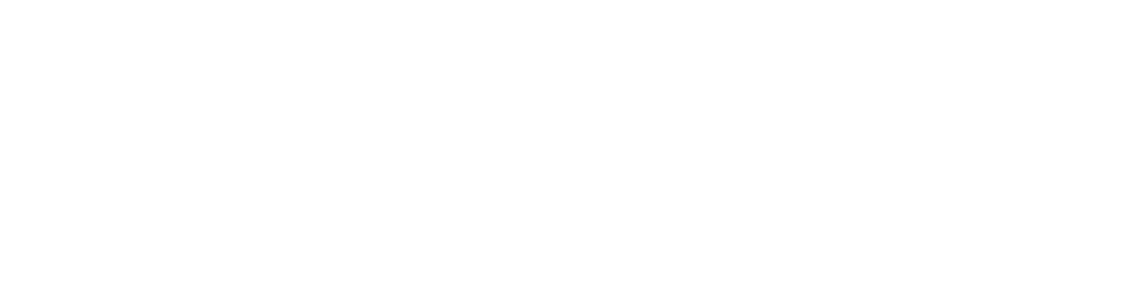 TruePulse